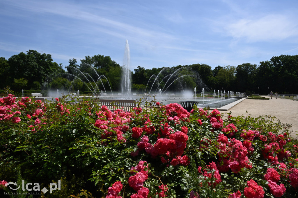 Park Miejski powitał lato