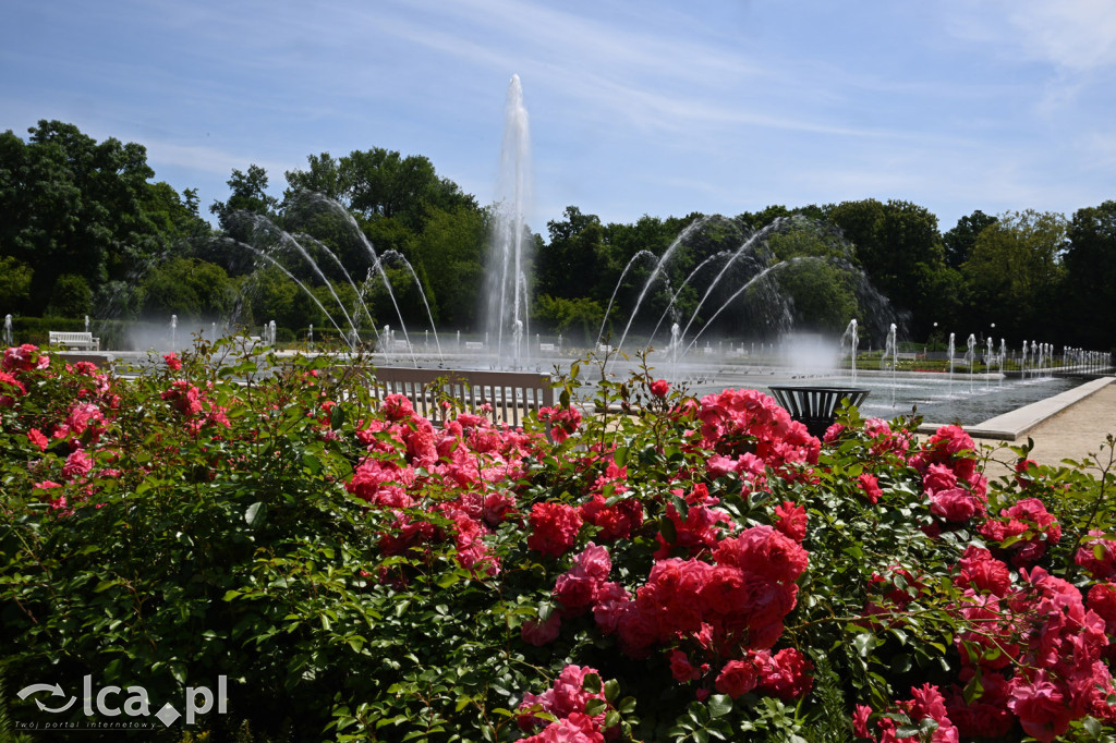 Park Miejski powitał lato