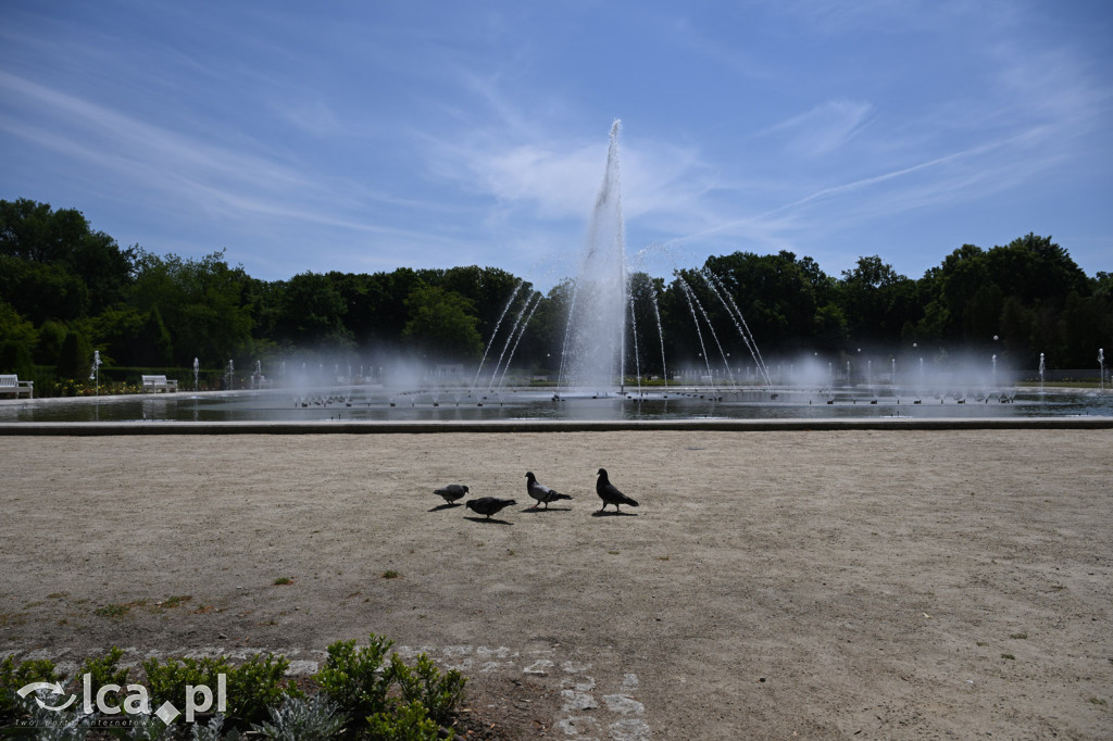 Park Miejski powitał lato