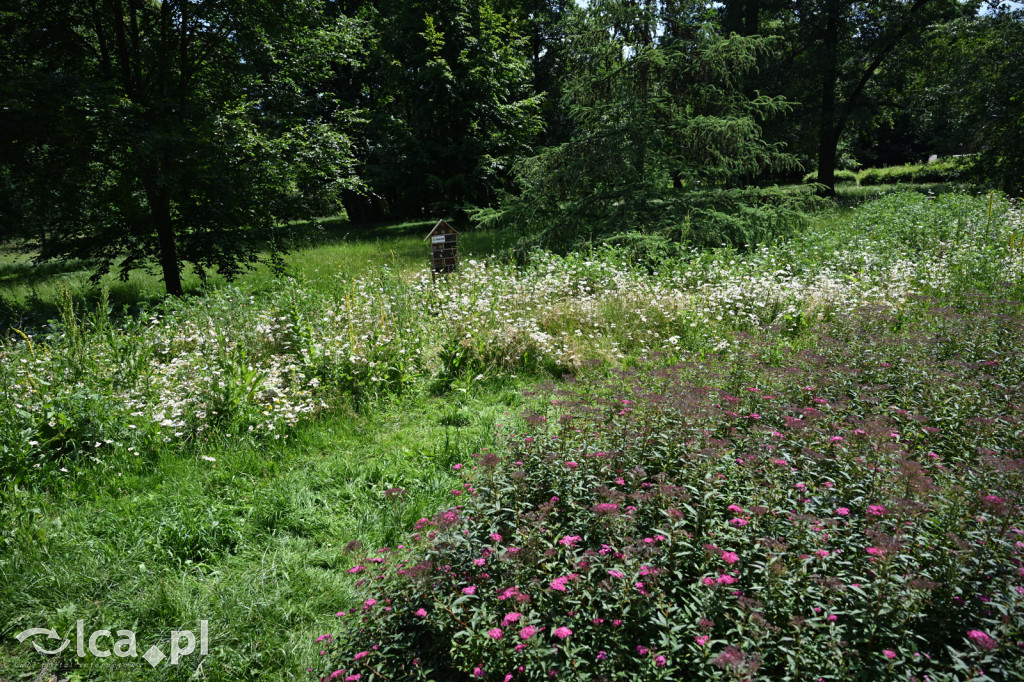 Park Miejski powitał lato