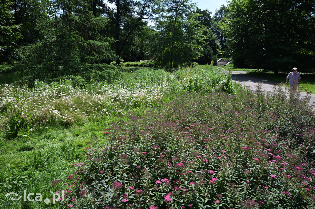 Park Miejski powitał lato