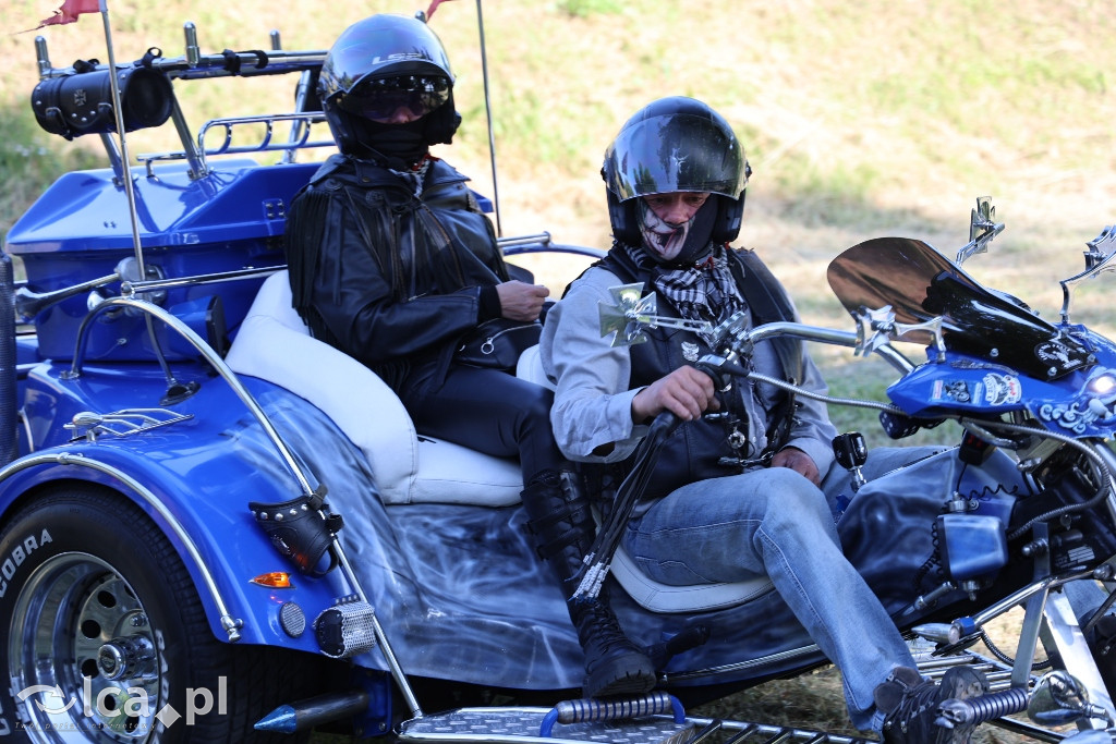 Kwiat paproci, pianowa impreza i ogień pod dębami