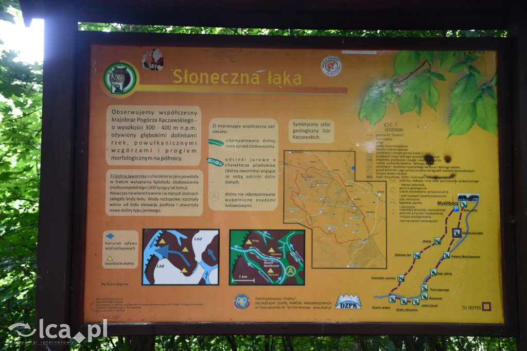  Parku Krajobrazowego Chełmy - Wąwóz Myśliborski