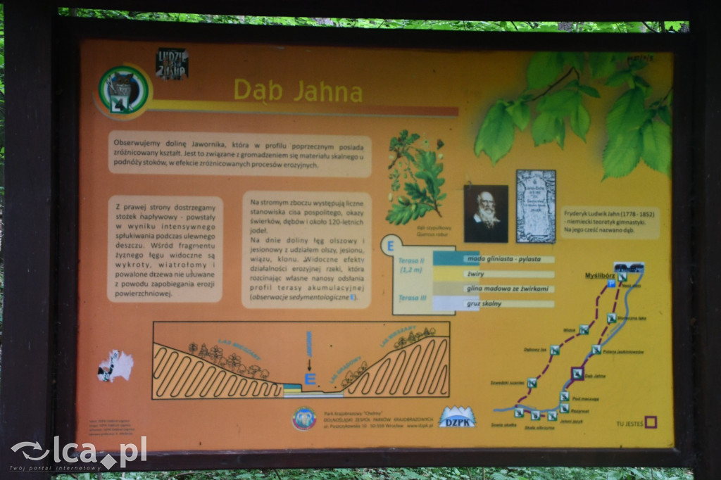  Parku Krajobrazowego Chełmy - Wąwóz Myśliborski