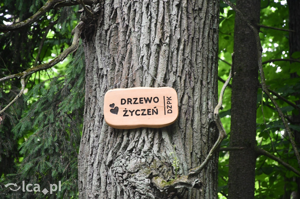  Parku Krajobrazowego Chełmy - Wąwóz Myśliborski