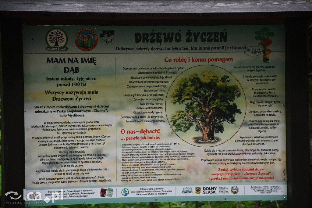  Parku Krajobrazowego Chełmy - Wąwóz Myśliborski