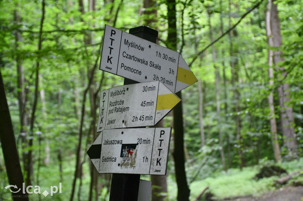  Parku Krajobrazowego Chełmy - Wąwóz Myśliborski