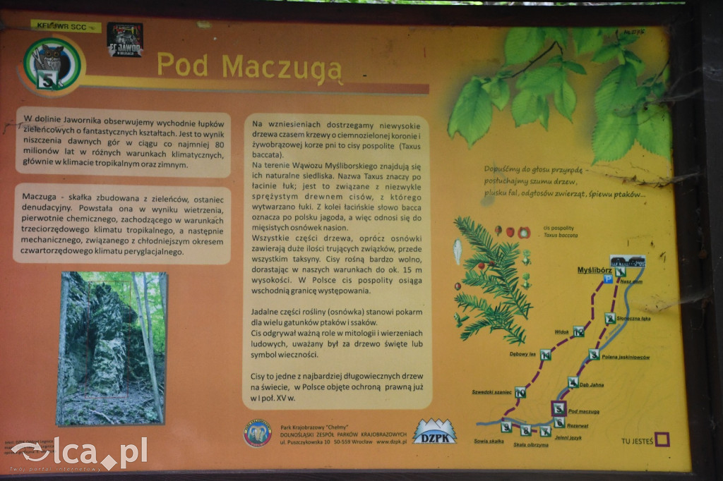  Parku Krajobrazowego Chełmy - Wąwóz Myśliborski