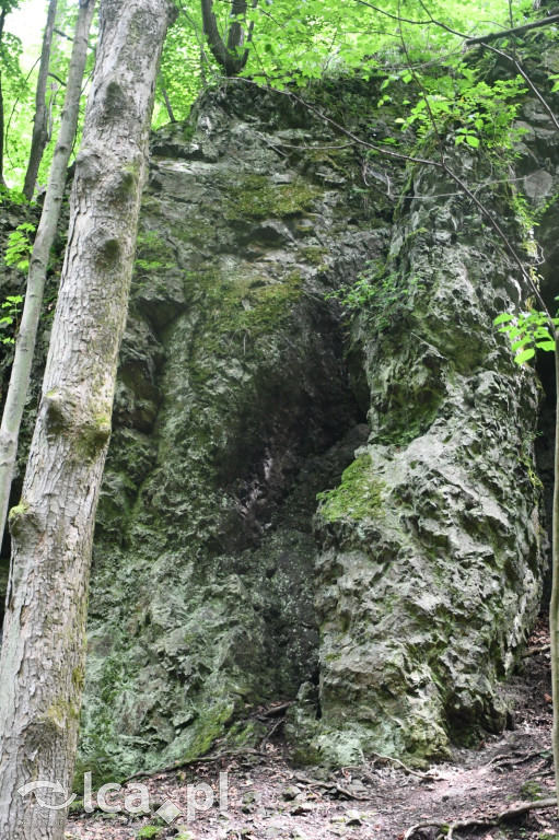  Parku Krajobrazowego Chełmy - Wąwóz Myśliborski