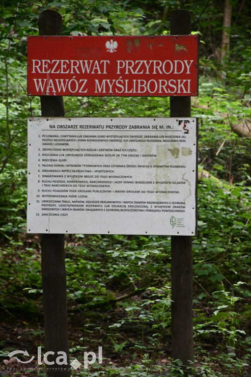  Parku Krajobrazowego Chełmy - Wąwóz Myśliborski