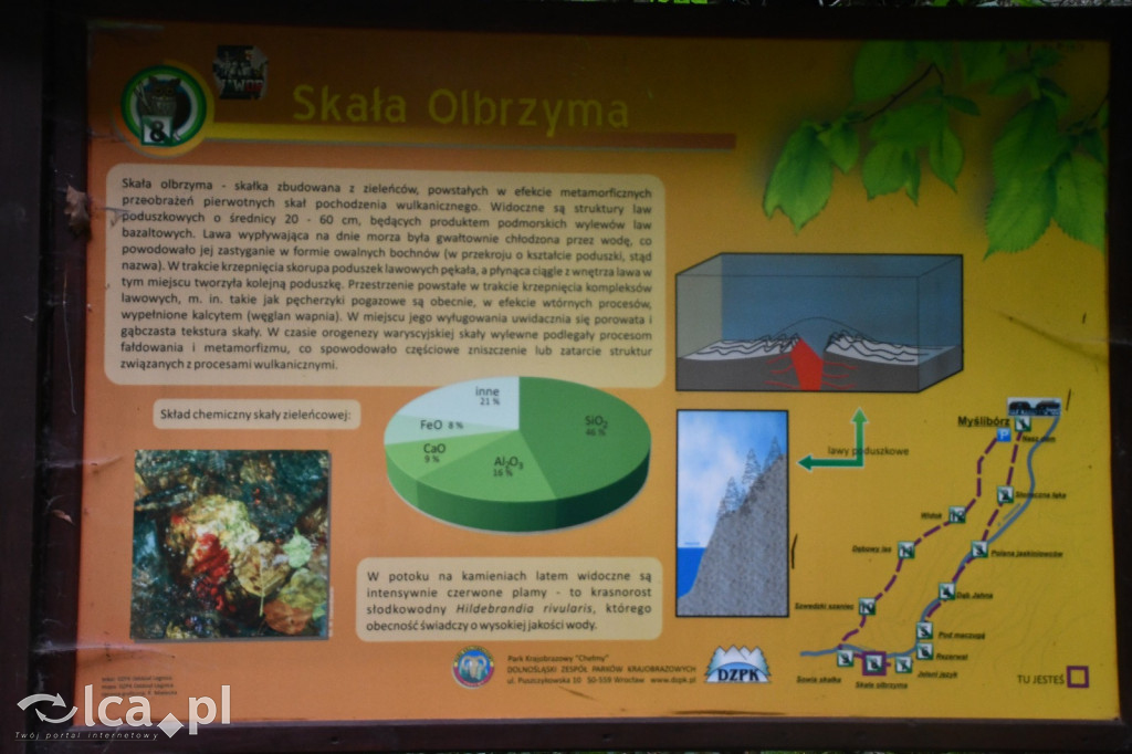  Parku Krajobrazowego Chełmy - Wąwóz Myśliborski