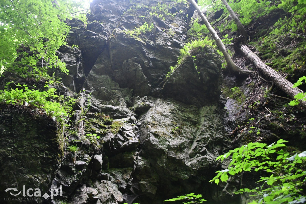 Parku Krajobrazowego Chełmy - Wąwóz Myśliborski