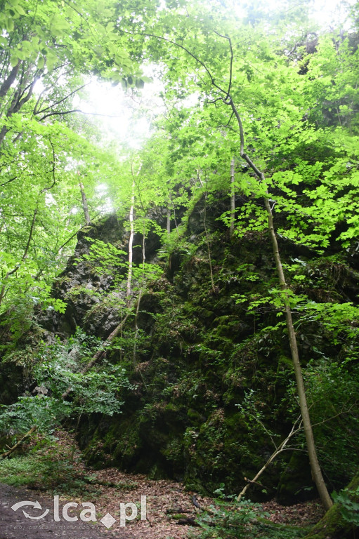  Parku Krajobrazowego Chełmy - Wąwóz Myśliborski