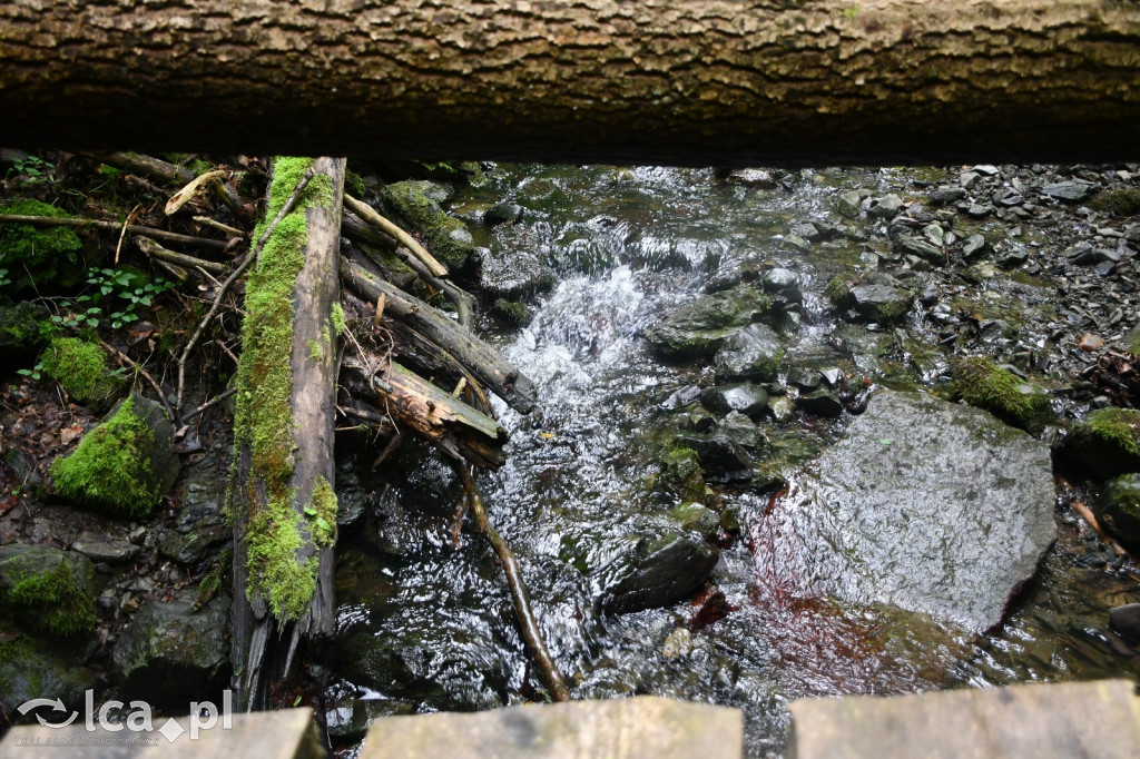  Parku Krajobrazowego Chełmy - Wąwóz Myśliborski