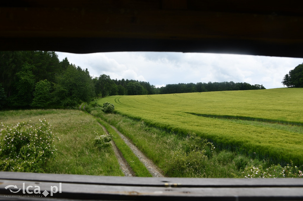  Parku Krajobrazowego Chełmy - Wąwóz Myśliborski