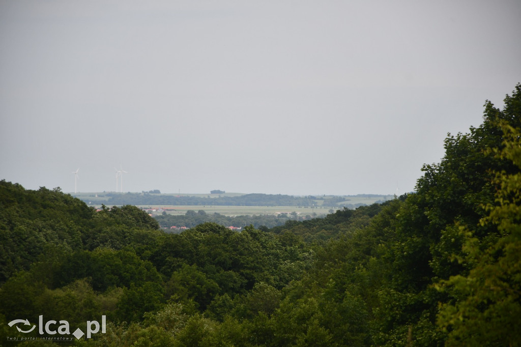  Parku Krajobrazowego Chełmy - Wąwóz Myśliborski