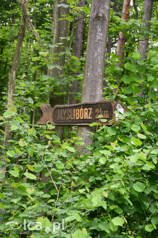  Parku Krajobrazowego Chełmy - Wąwóz Myśliborski