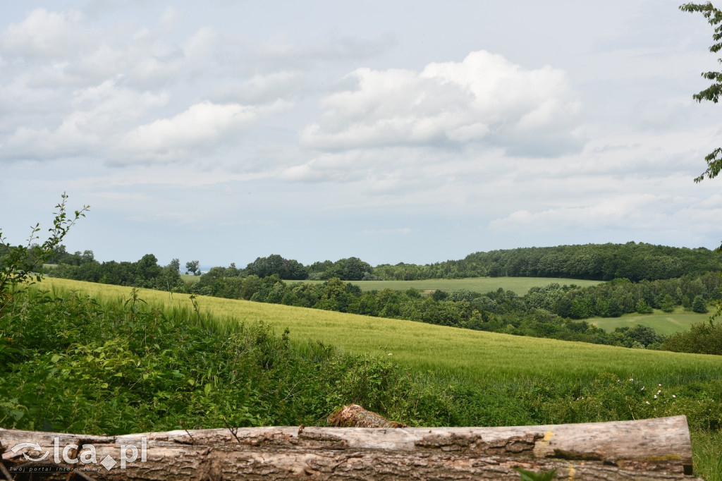  Parku Krajobrazowego Chełmy - Wąwóz Myśliborski