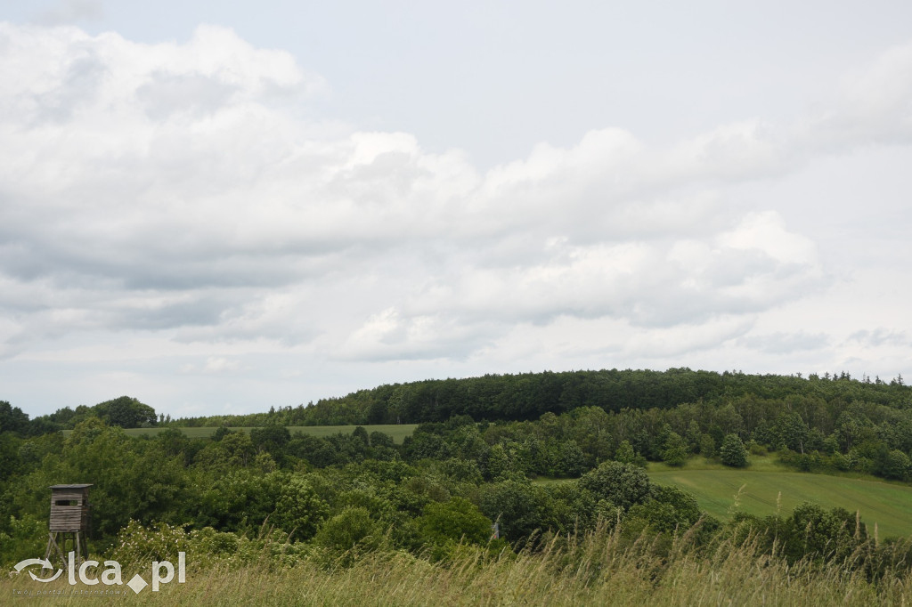  Parku Krajobrazowego Chełmy - Wąwóz Myśliborski