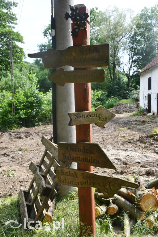  Parku Krajobrazowego Chełmy - Wąwóz Myśliborski