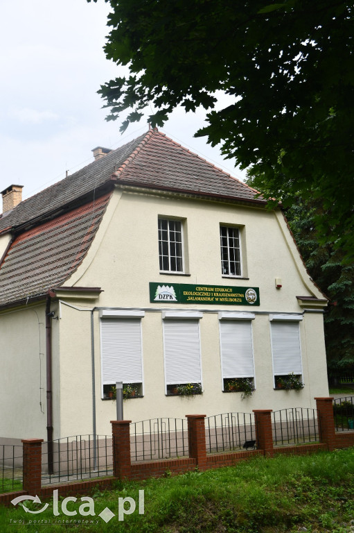  Parku Krajobrazowego Chełmy - Wąwóz Myśliborski