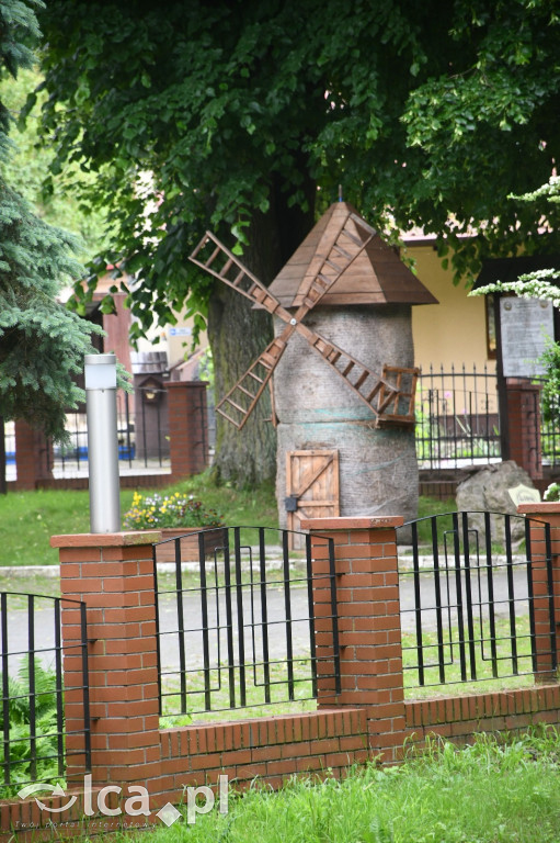  Parku Krajobrazowego Chełmy - Wąwóz Myśliborski