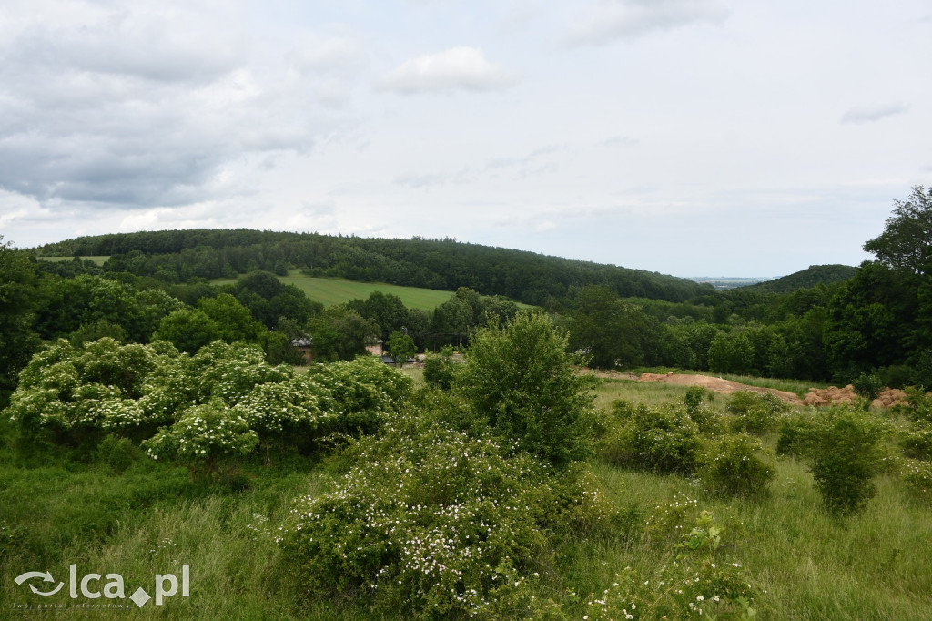  Parku Krajobrazowego Chełmy - Wąwóz Myśliborski