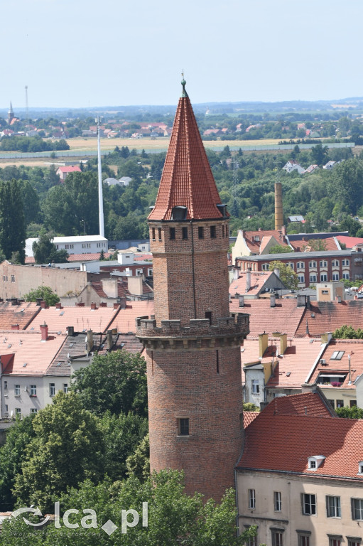 Kościół Mariacki w Legnicy