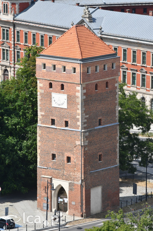 Kościół Mariacki w Legnicy