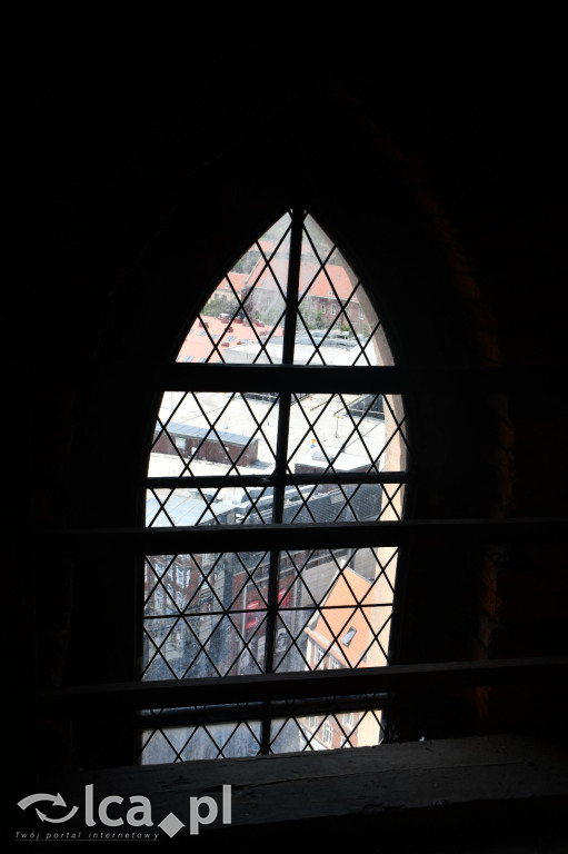 Kościół Mariacki w Legnicy