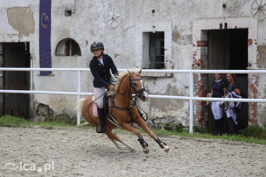 Zawody w skokach przez przeszkody w Kwiatowie