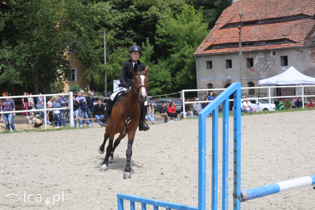 Zawody w skokach przez przeszkody w Kwiatowie