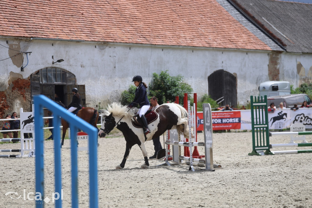 Zawody w skokach przez przeszkody w Kwiatowie