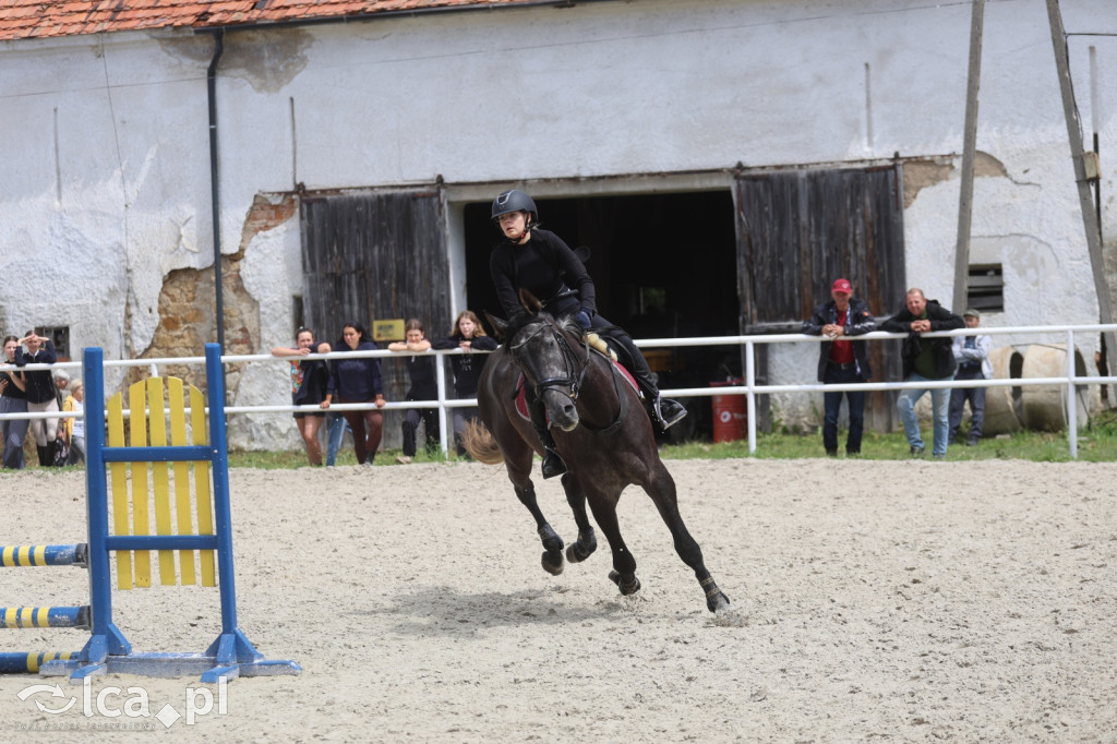 Zawody w skokach przez przeszkody w Kwiatowie