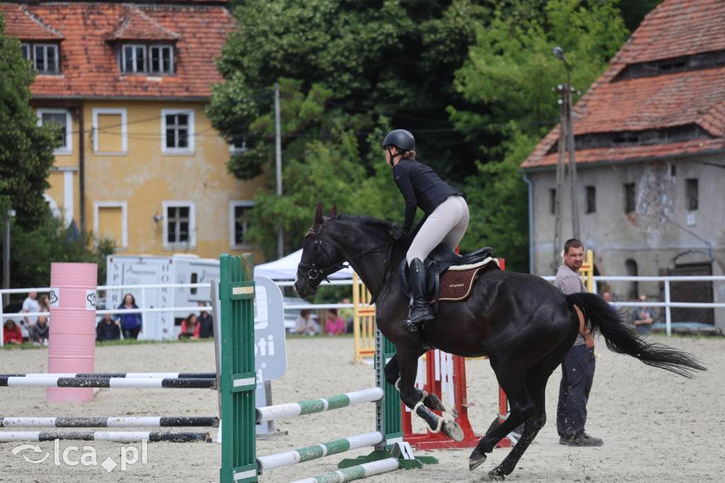 Zawody w skokach przez przeszkody w Kwiatowie