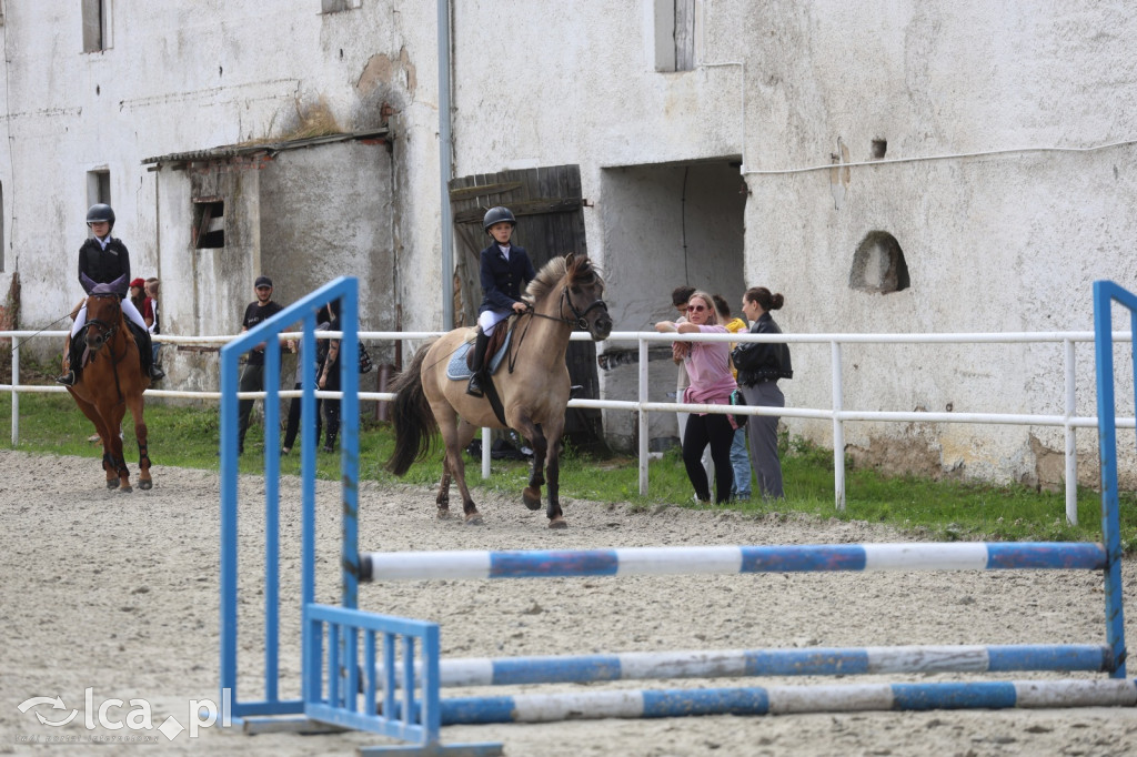 Zawody w skokach przez przeszkody w Kwiatowie