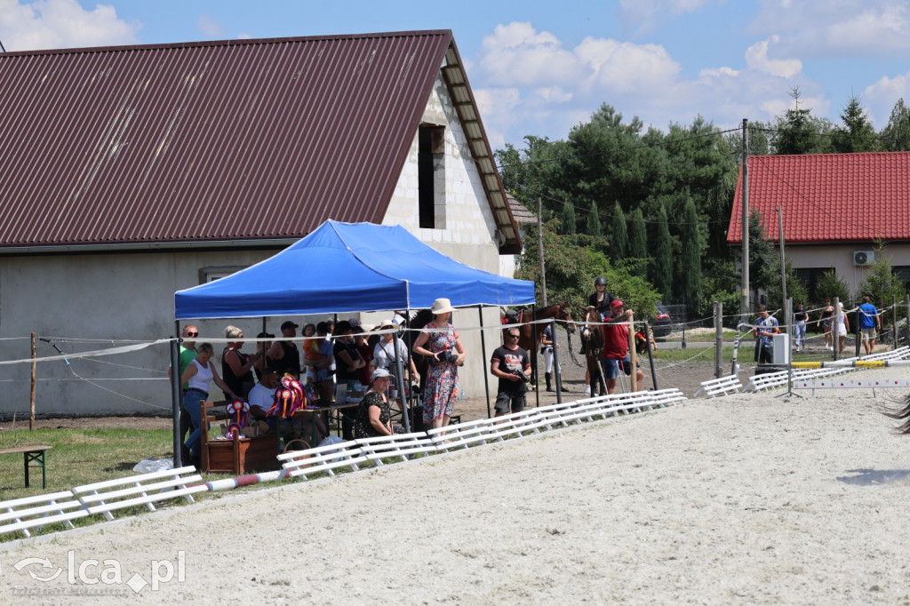 Familijne Ujeżdżenie i Podskoki