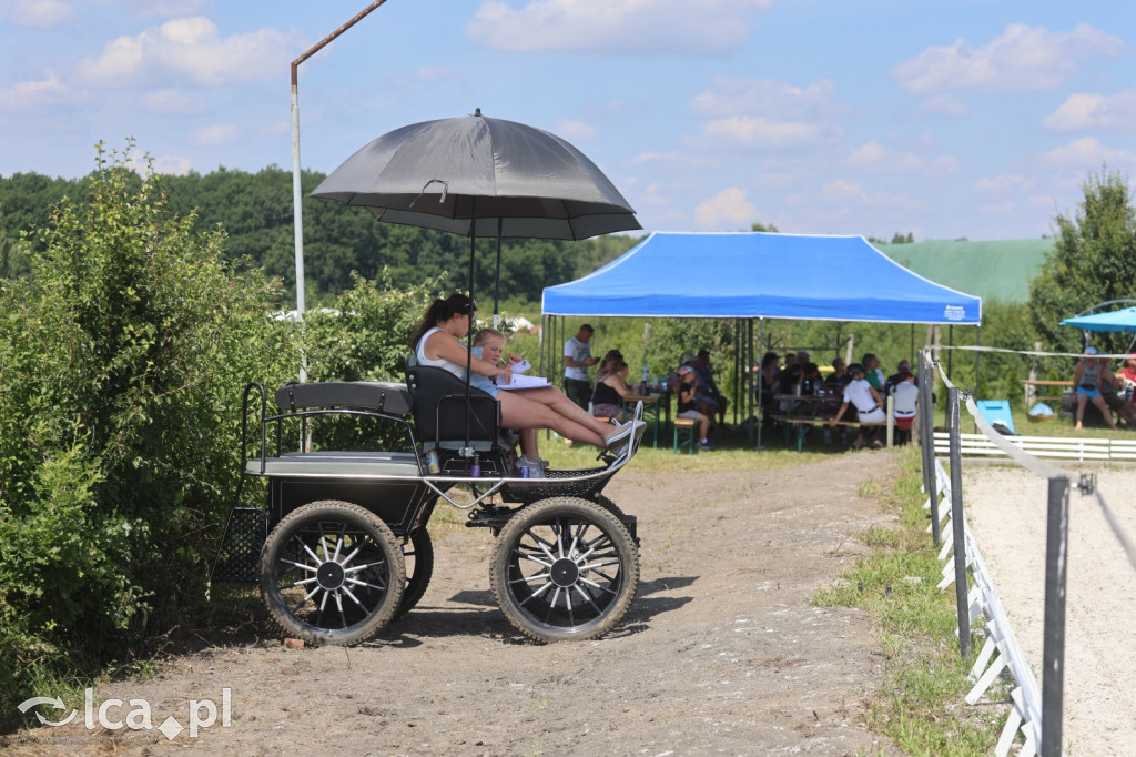 Familijne Ujeżdżenie i Podskoki