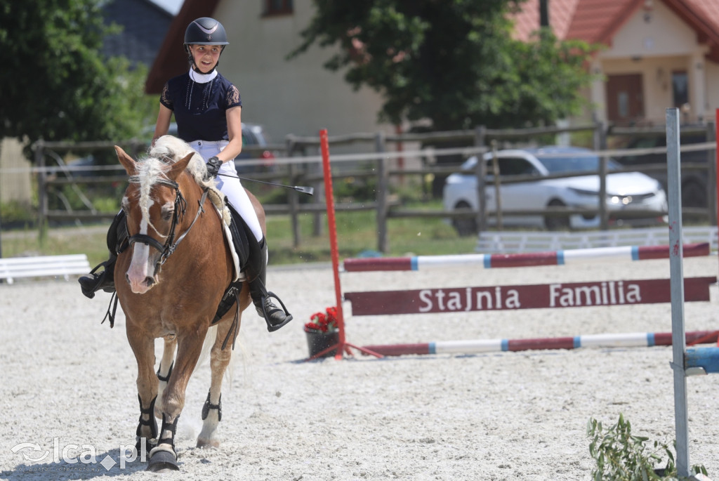 Familijne Ujeżdżenie i Podskoki