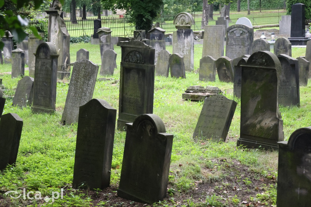 Legnicki Spacer Historyczny – Cmentarz żydowski