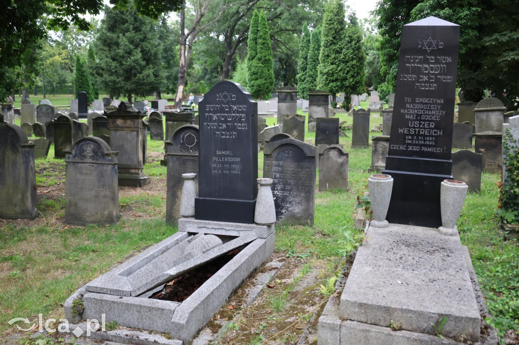 Legnicki Spacer Historyczny – Cmentarz żydowski