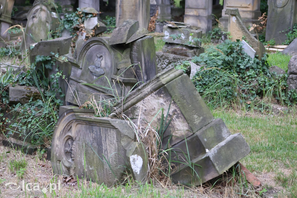 Legnicki Spacer Historyczny – Cmentarz żydowski