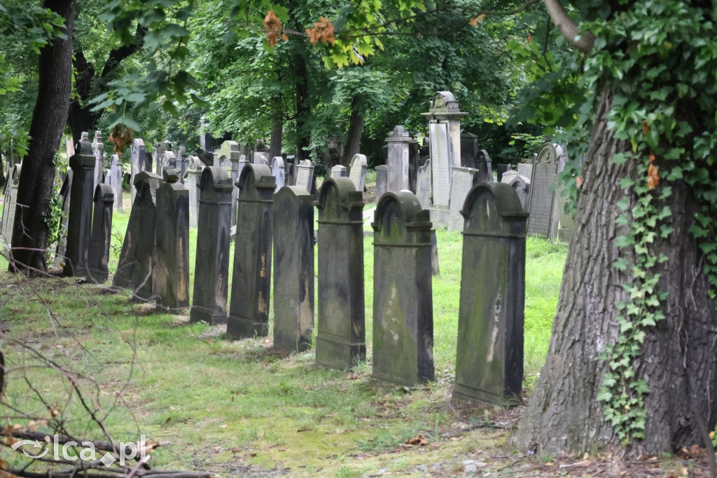 Legnicki Spacer Historyczny – Cmentarz żydowski