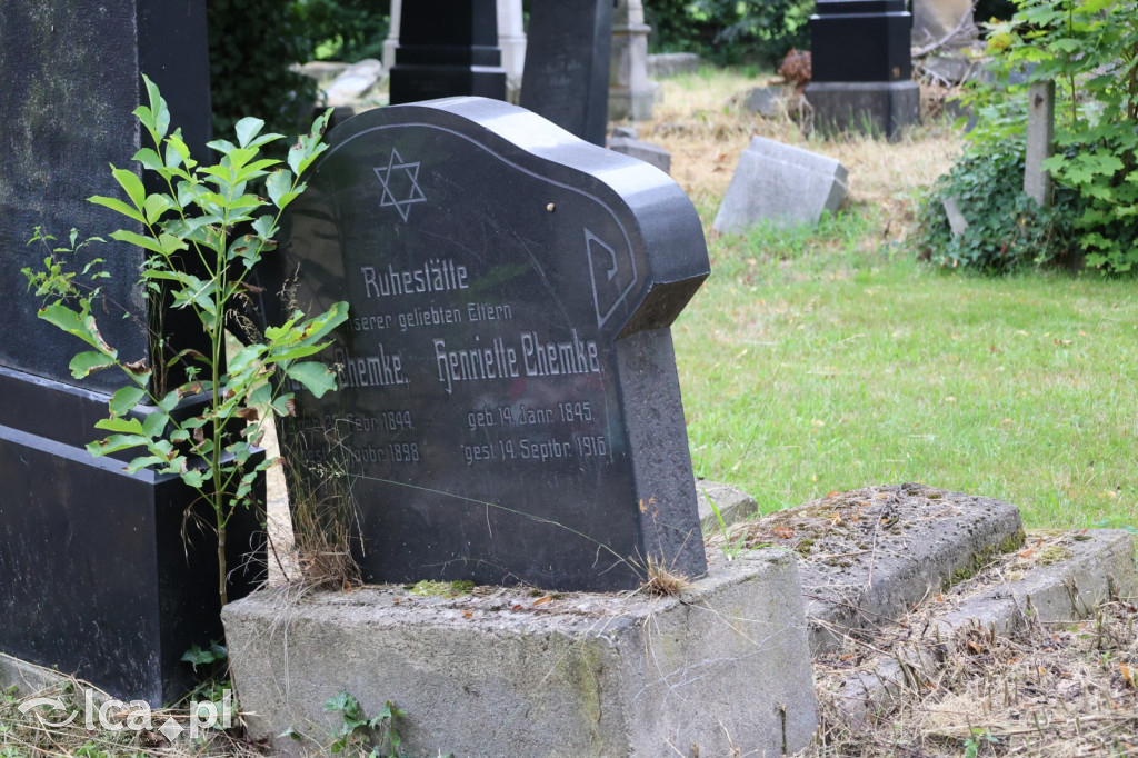 Legnicki Spacer Historyczny – Cmentarz żydowski