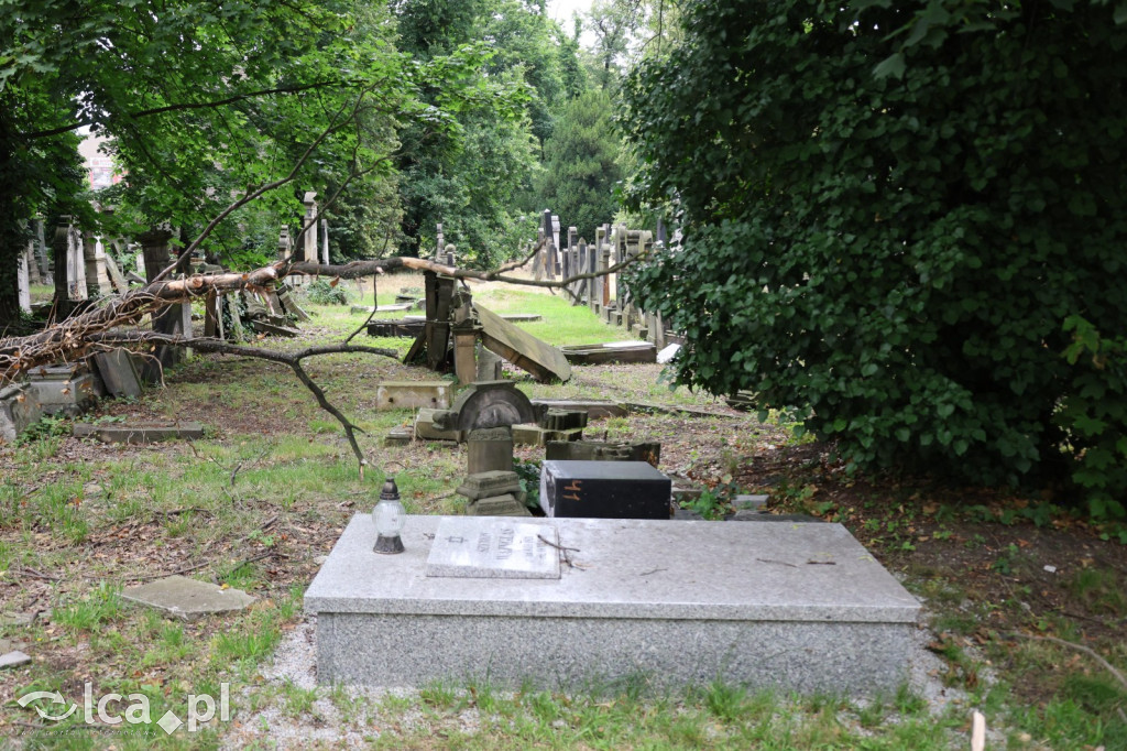 Legnicki Spacer Historyczny – Cmentarz żydowski