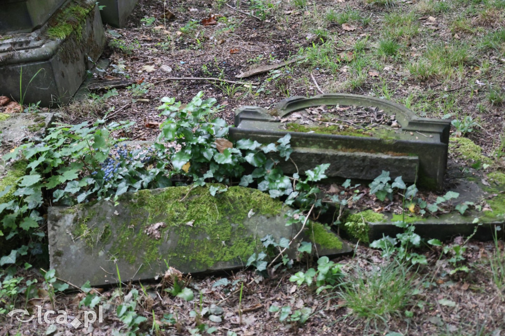 Legnicki Spacer Historyczny – Cmentarz żydowski