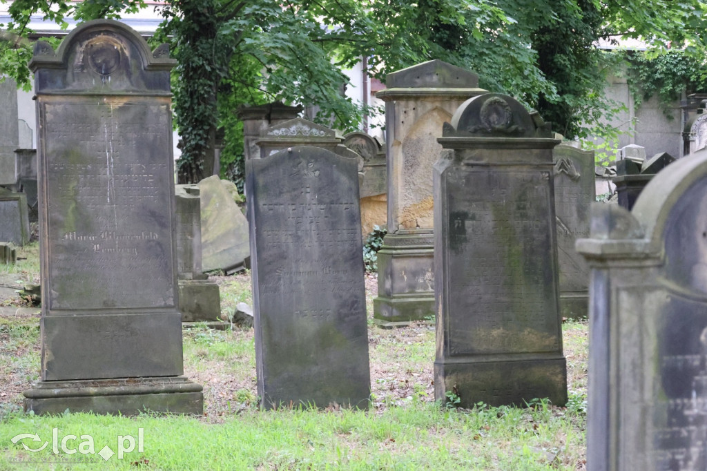 Legnicki Spacer Historyczny – Cmentarz żydowski
