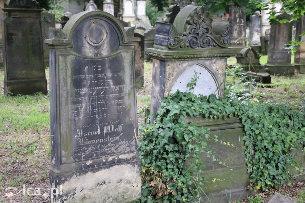 Legnicki Spacer Historyczny – Cmentarz żydowski