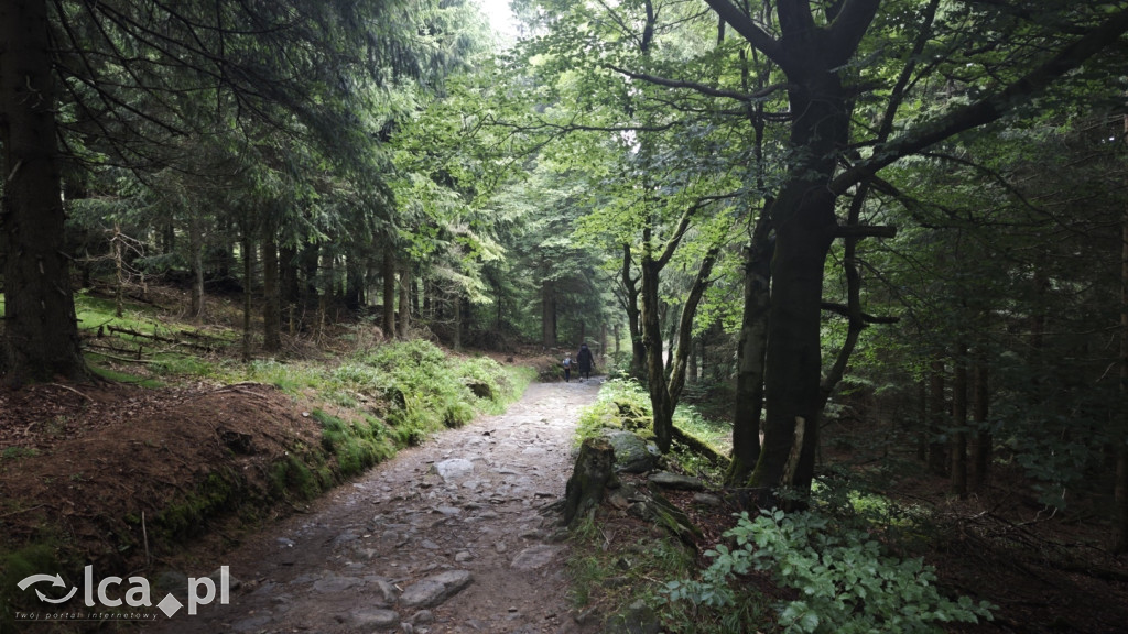 Weekend dla aktywnych: Wielka Sowa