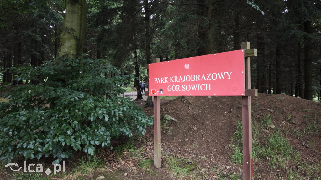 Weekend dla aktywnych: Wielka Sowa